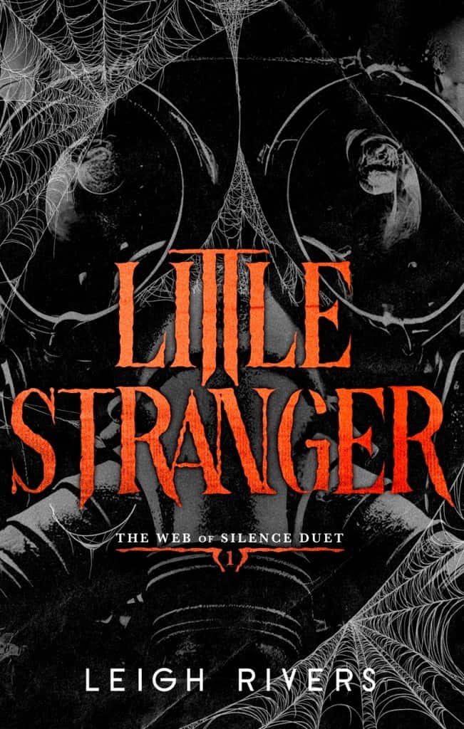 Little Stranger av Leigh Rivers