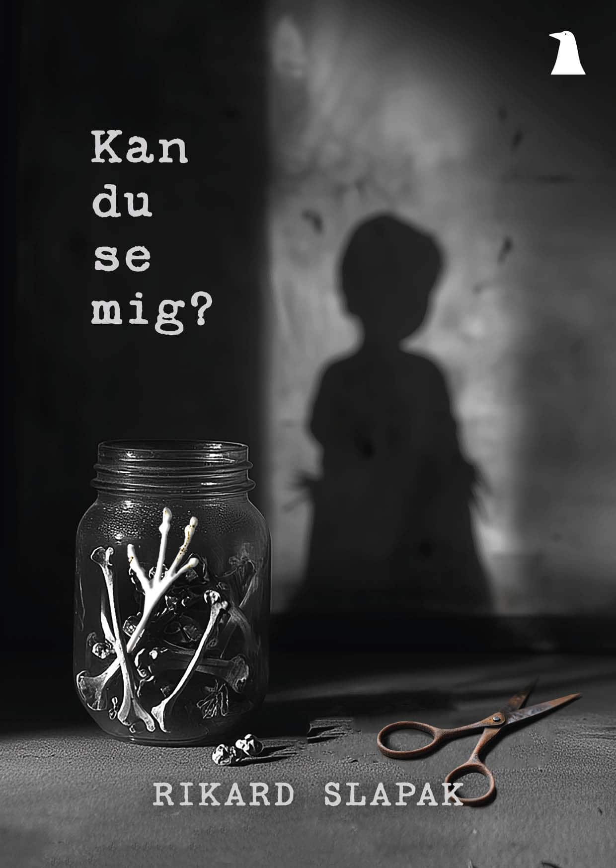 Kan du se mig? av Rikard Slapak