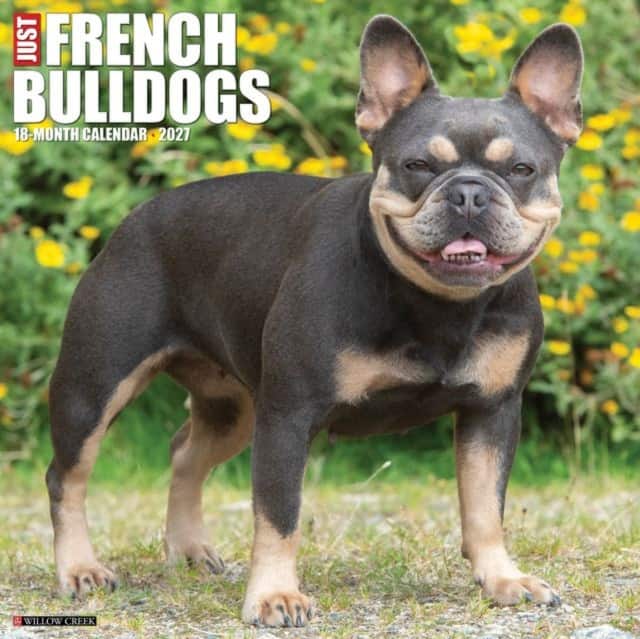 French Bulldogs 2027 Wall av Willow Creek Press