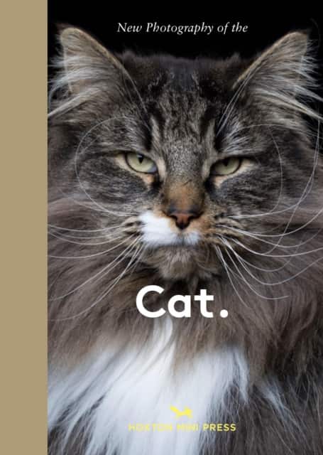 New Photography of the Cat. av Hoxton Mini Press