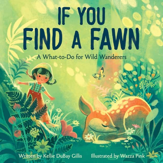 If You Find a Fawn av Kellie DuBay Gillis