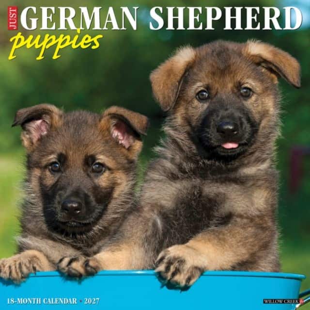 German Shepherd Puppies 2027 Wall av Willow Creek Press
