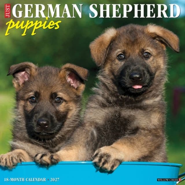 German Shepherd Puppies 2027 Wall