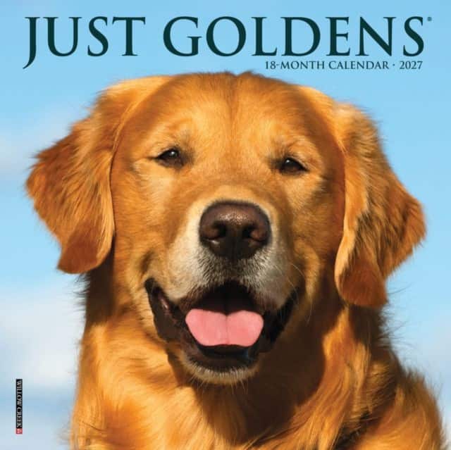 Goldens 2027 Mini av Willow Creek Press