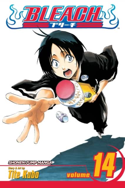 Bleach, Vol. 14 av Tite Kubo