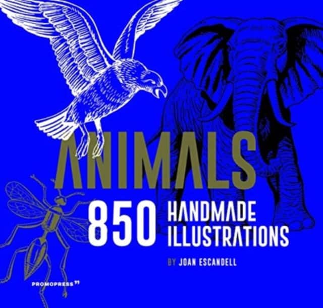 Animals: 850 Handmade Illustrations av Joan Escandell