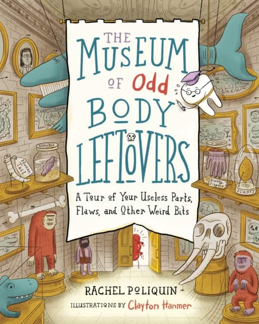The Museum of Odd Body Leftovers av Rachel Poliquin