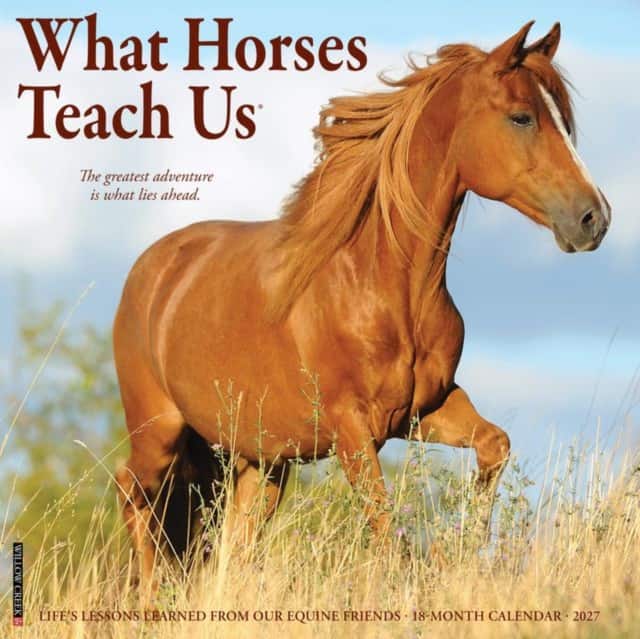 What Horses Teach Us 2027 Wall av Willow Creek Press