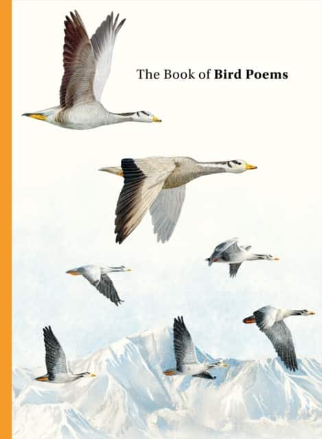 The Book of Bird Poems av Ana Sampson