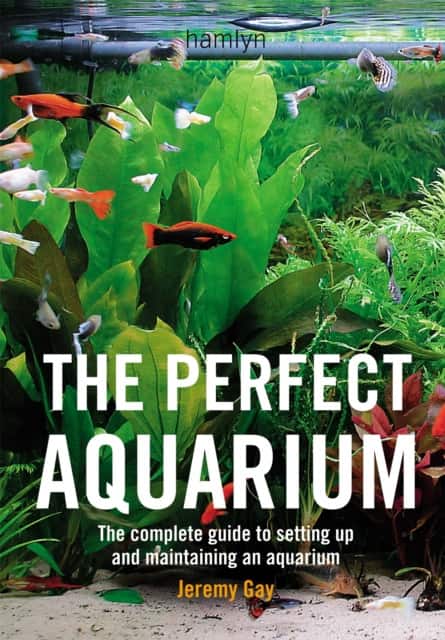 The Perfect Aquarium av Jeremy Gay