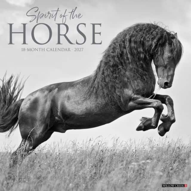 Spirit of the Horse 2027 Wall av Willow Creek Press