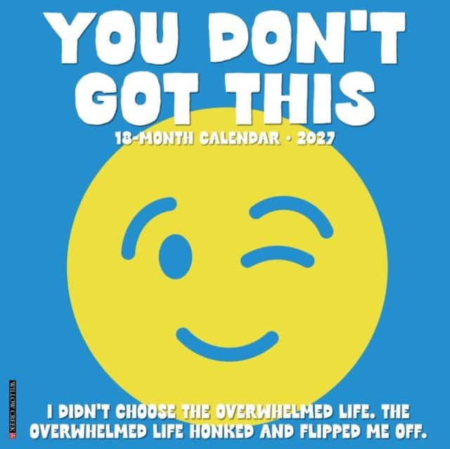 You Don't Got This 2027 Wall av Willow Creek Press