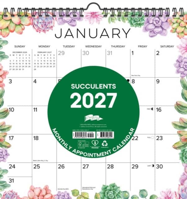 Succulents 20267 12" x 12" Spiral Wall Calendar av Willow Creek Press