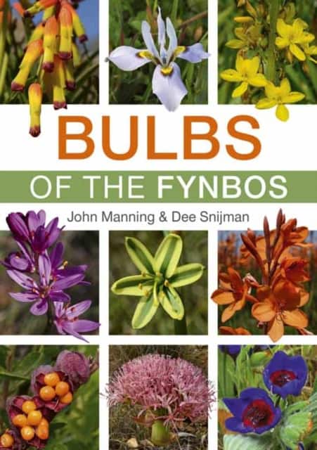 Bulbs of the Fynbos av John Manning