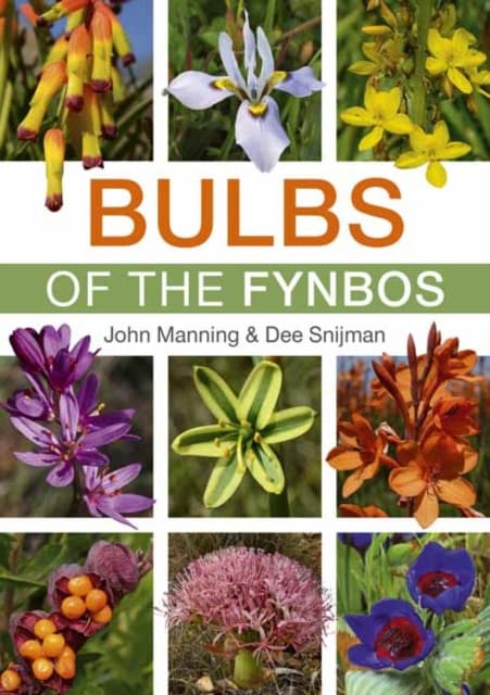 Bulbs of the Fynbos