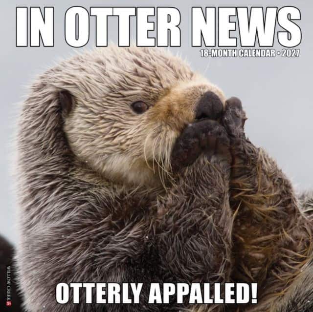 In Otter News 2027 Wall av Willow Creek Press