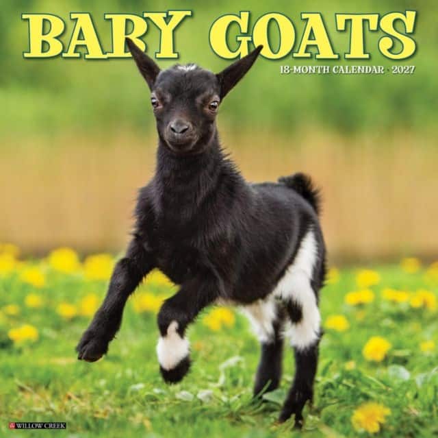 Baby Goats 2027 Wall av Willow Creek Press