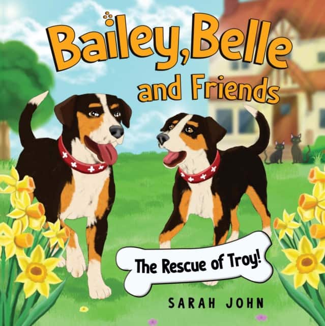Bailey, Belle and Friends - The Rescue of Troy! av Sarah John