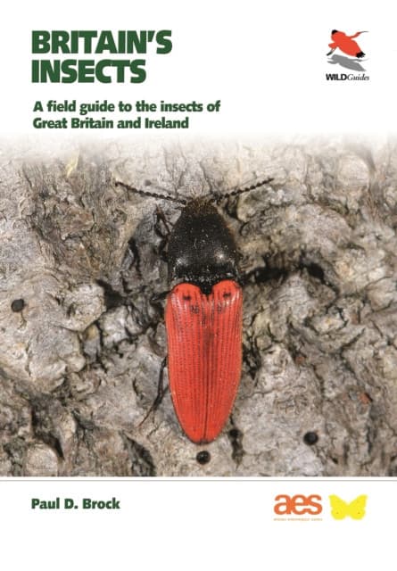 Britain`s Insects – A Field Guide to the Insects of Great Britain and Ireland