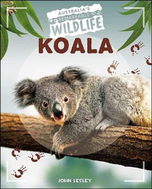 Koala av John Lesley