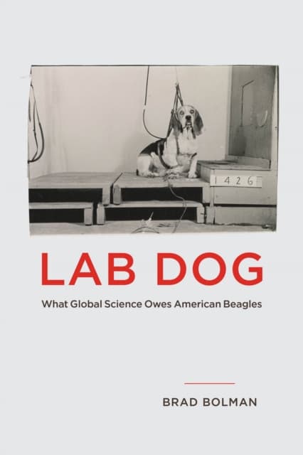 Lab Dog – What Global Science Owes American Beagles
