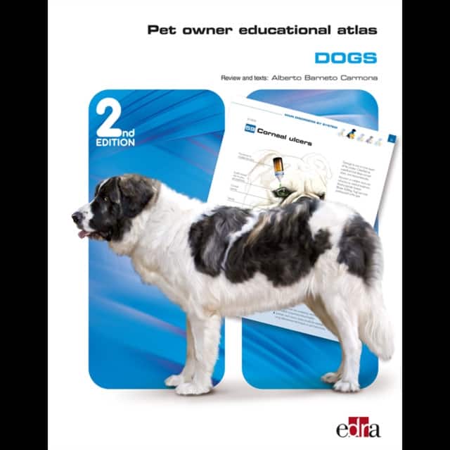 Pet Owner Educational Atlas: Dogs - 2nd edition av Grupo Asis Biomedia S.L.