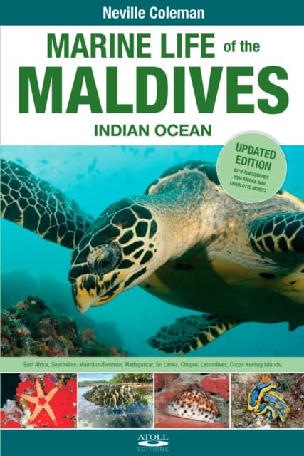 Marine Life of the Maldives - Indian Ocean