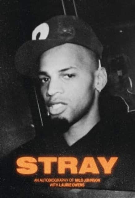 Stray av Laurie Owens