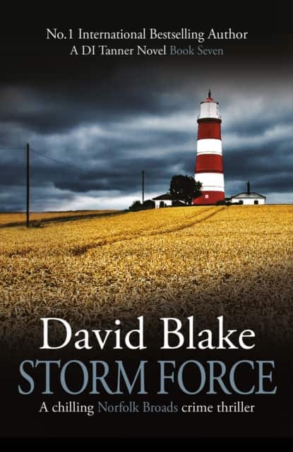 Storm Force av David Blake