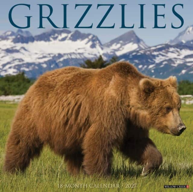 Grizzlies 2027 Wall av Willow Creek Press