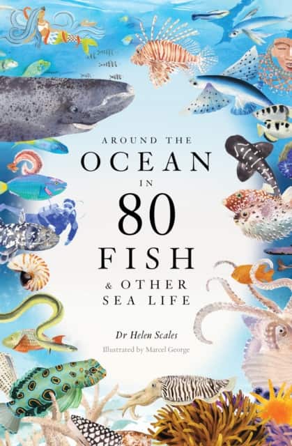 Around the Ocean in 80 Fish and other Sea Life av Helen Scales