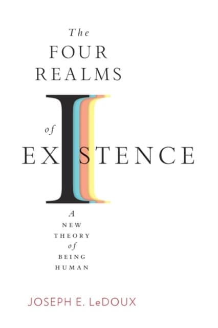 The Four Realms of Existence – A New Theory of Being Human