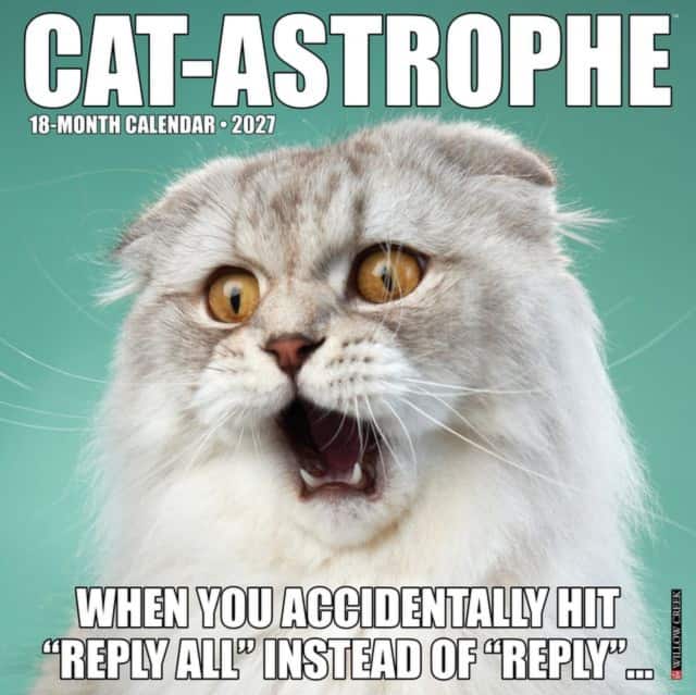 Cat-astrophe 2027 Wall av Willow Creek Press