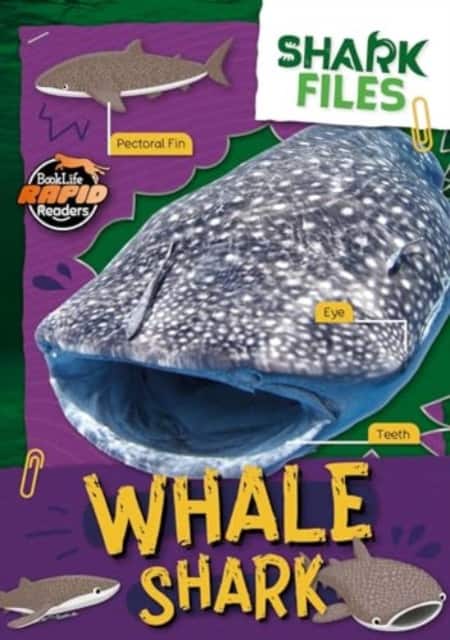 Whale Shark av Robin Twiddy