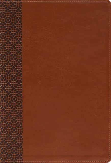 Amplified Holy Bible, Large Print, Leathersoft, Brown av Zondervan