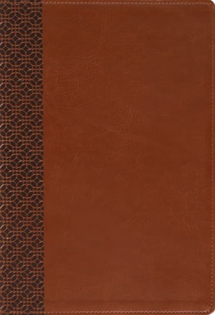 Amplified Holy Bible, Large Print, Leathersoft, Brown