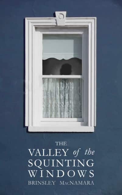 The Valley of the Squinting Windows av Brinsley McNamara