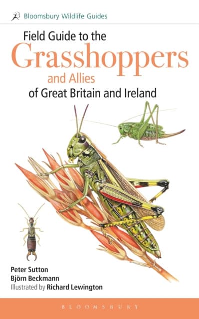Field Guide to the Grasshoppers and Allies of Great Britain and Ireland