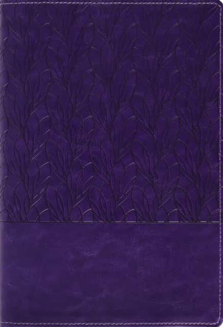 Amplified Holy Bible, Large Print, Leathersoft, Purple av Zondervan