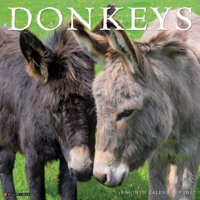 Donkeys 2027 Wall av Willow Creek Press