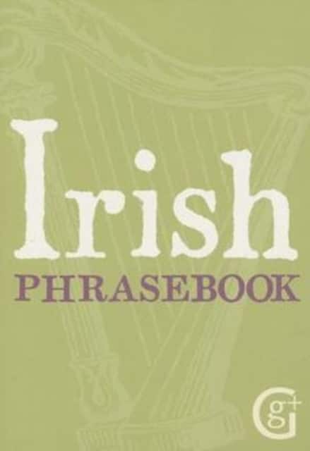 Irish Phrasebook av Niall Callan