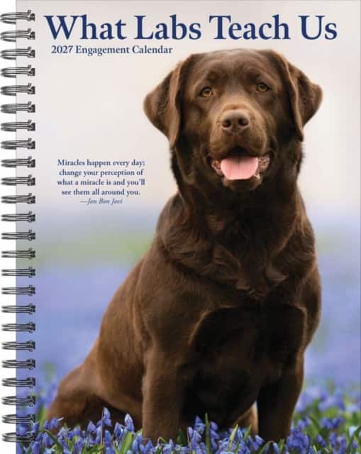 What Labs Teach Us 2027 Engagement av Willow Creek Press