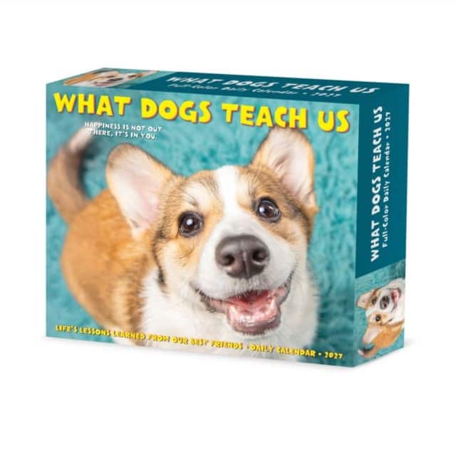 What Dogs Teach Us 2027 Box av Willow Creek Press