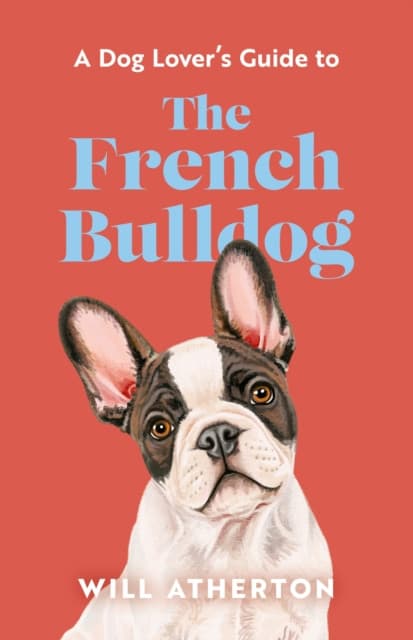 A The French Bulldog