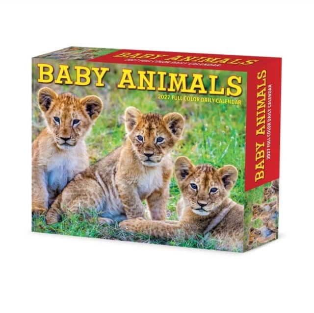 Baby Animals 2027 Box av Willow Creek Press