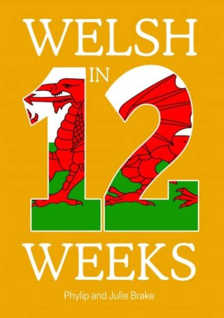 Welsh in 12 Weeks av Phylip Brake