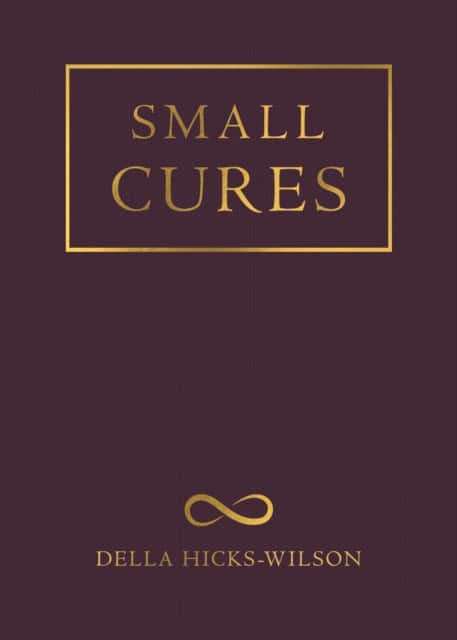 Small Cures av Della Hicks-Wilson