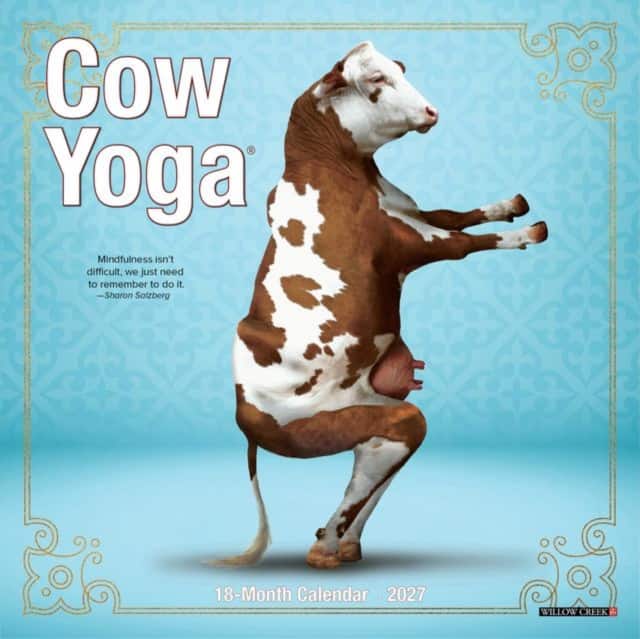 Cow Yoga 2027 Mini av Willow Creek Press