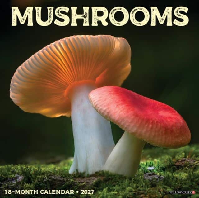 Mushrooms 2027 Wall av Willow Creek Press