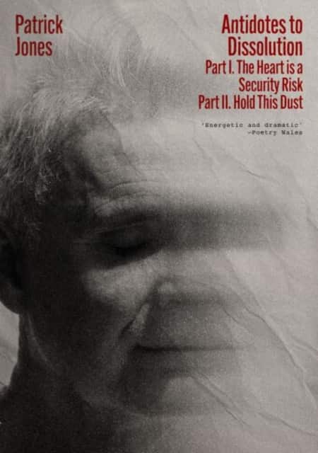 Antidotes to Dissolution av Patrick Jones